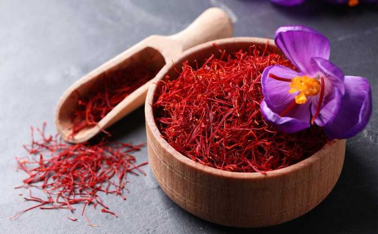 Beautiful purple saffron crocus flower