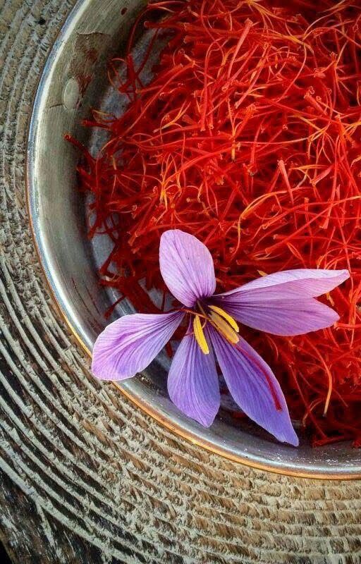 Saffron farming in Iran